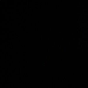 Reserved Listing – Do Not Purchase Reserved for @ayyyyrisa